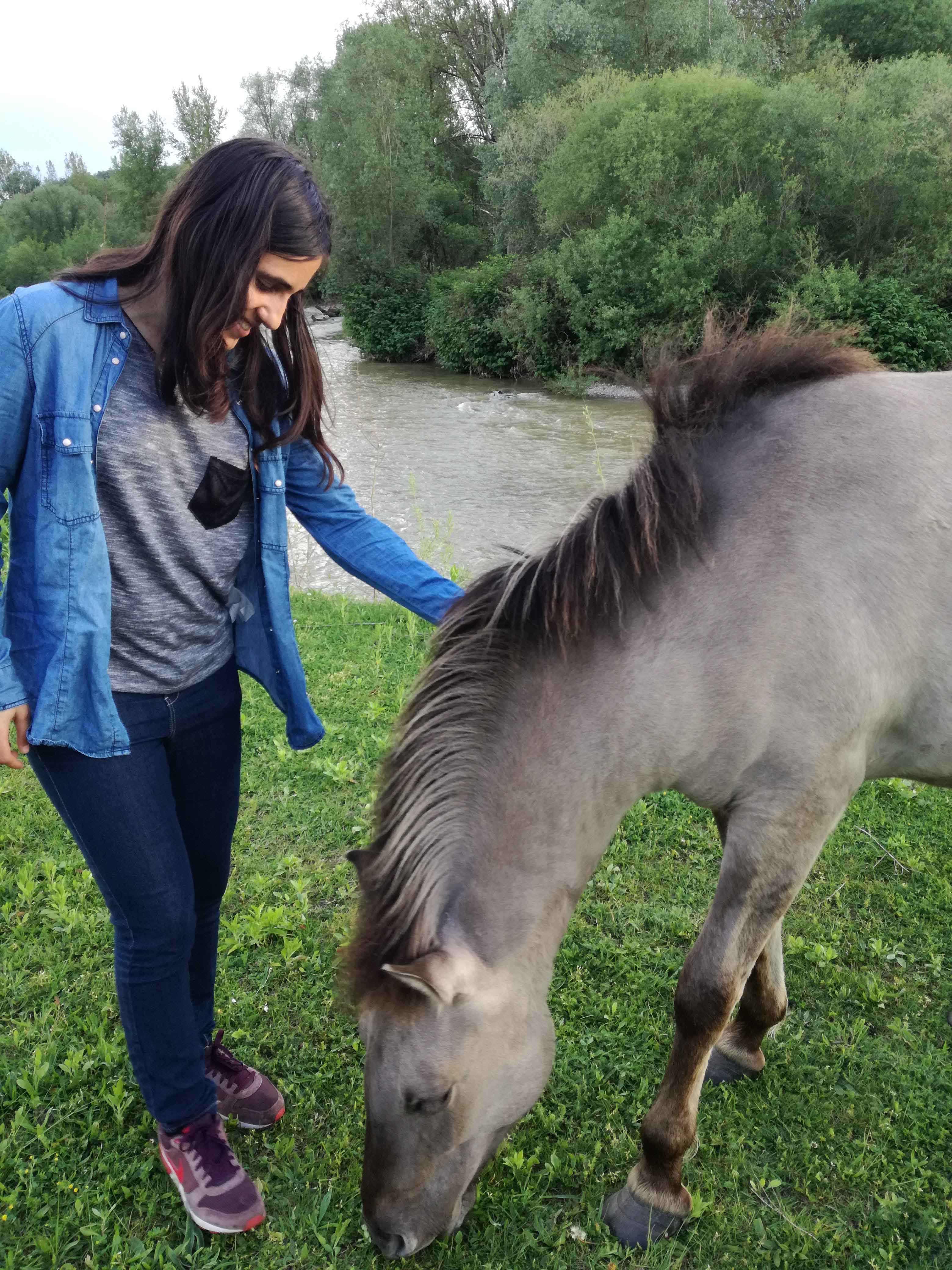 Mi experiencia Erasmus en Viena – Laura
